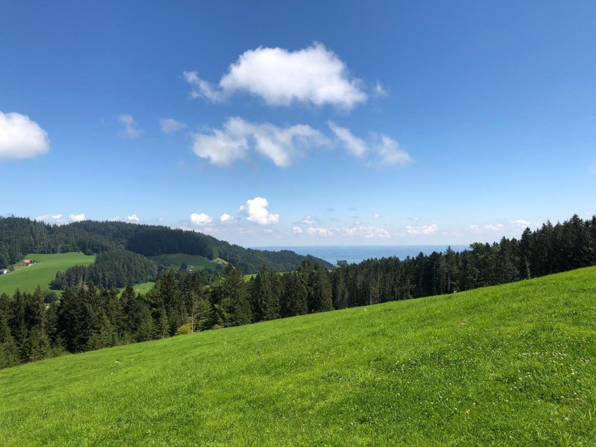Hirschen Wald - Gasthaus & Baeckerei Bagian luar foto