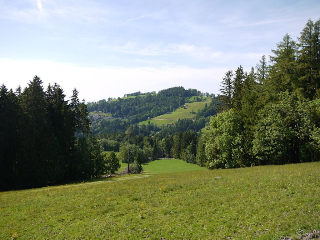 Hirschen Wald - Gasthaus & Baeckerei Bagian luar foto